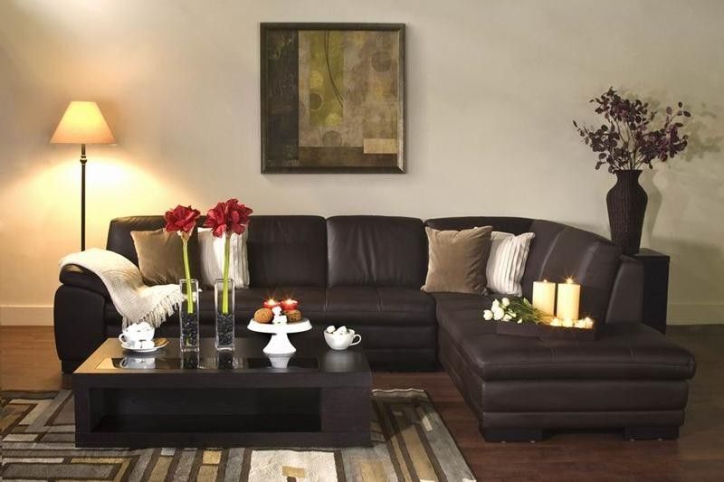 Featured Photo of 2024 Latest Diana Dark Brown Leather Sectional Sofa Set