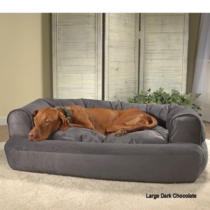 Dog Sofas Home Interior Minimalis T Techco Well Regarding Dog Sofas And Chairs (View 13 of 20)