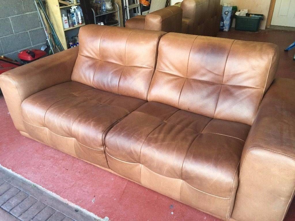 caring for aniline leather sofa