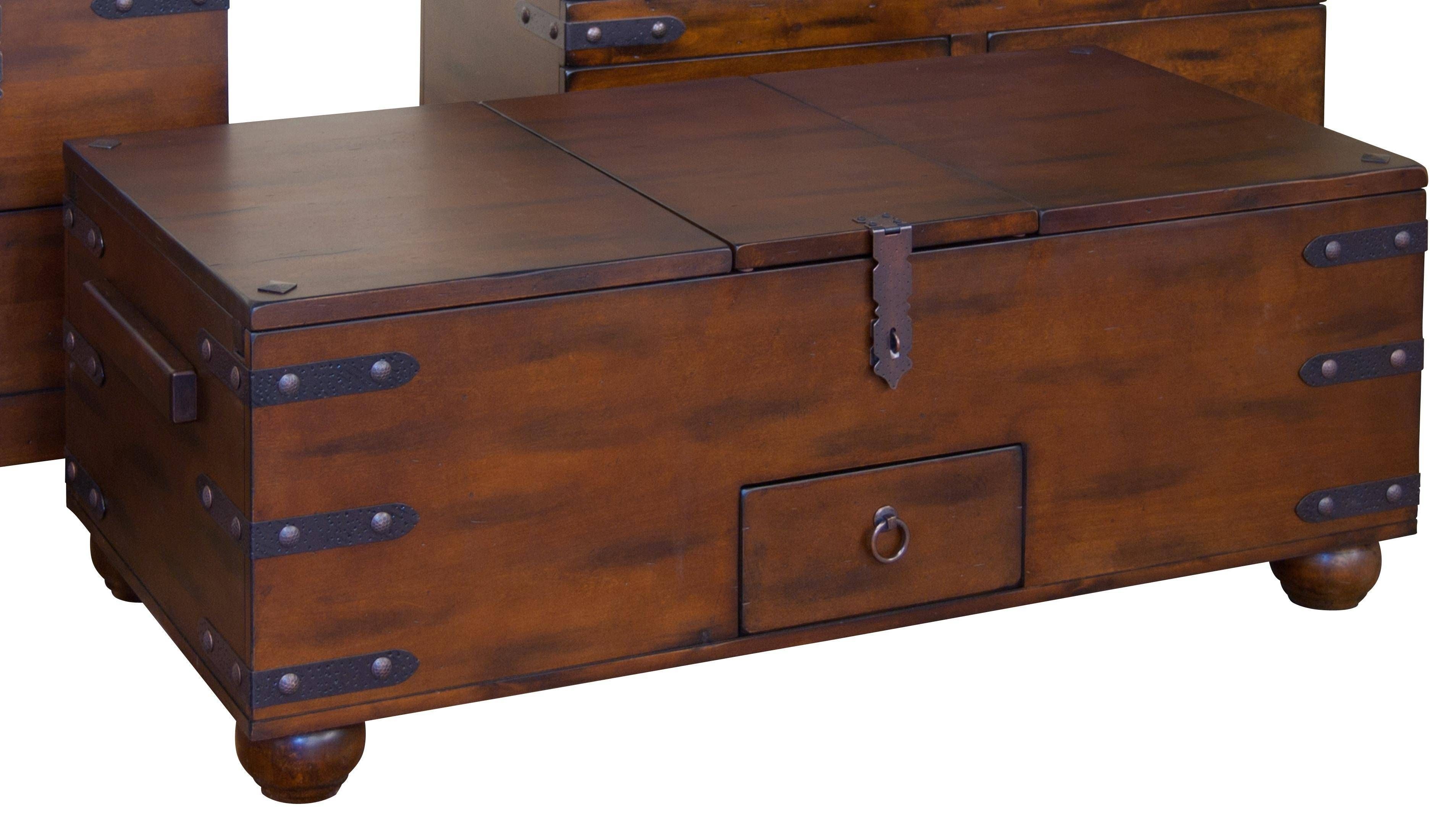 Coffee Table: Beautiful Storage Trunk Coffee Table Designs Trunk Throughout Dark Wood Coffee Table Storages (View 11 of 30)