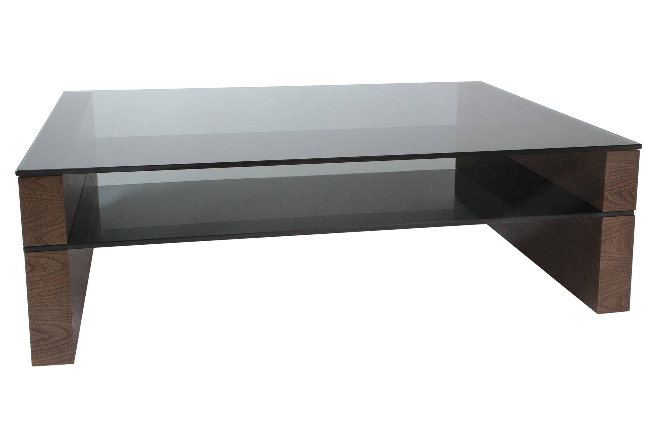 Coffee Table: Incredible Elephant Coffee Table Design Ideas With Elephant Coffee Tables With Glass Top (View 20 of 30)
