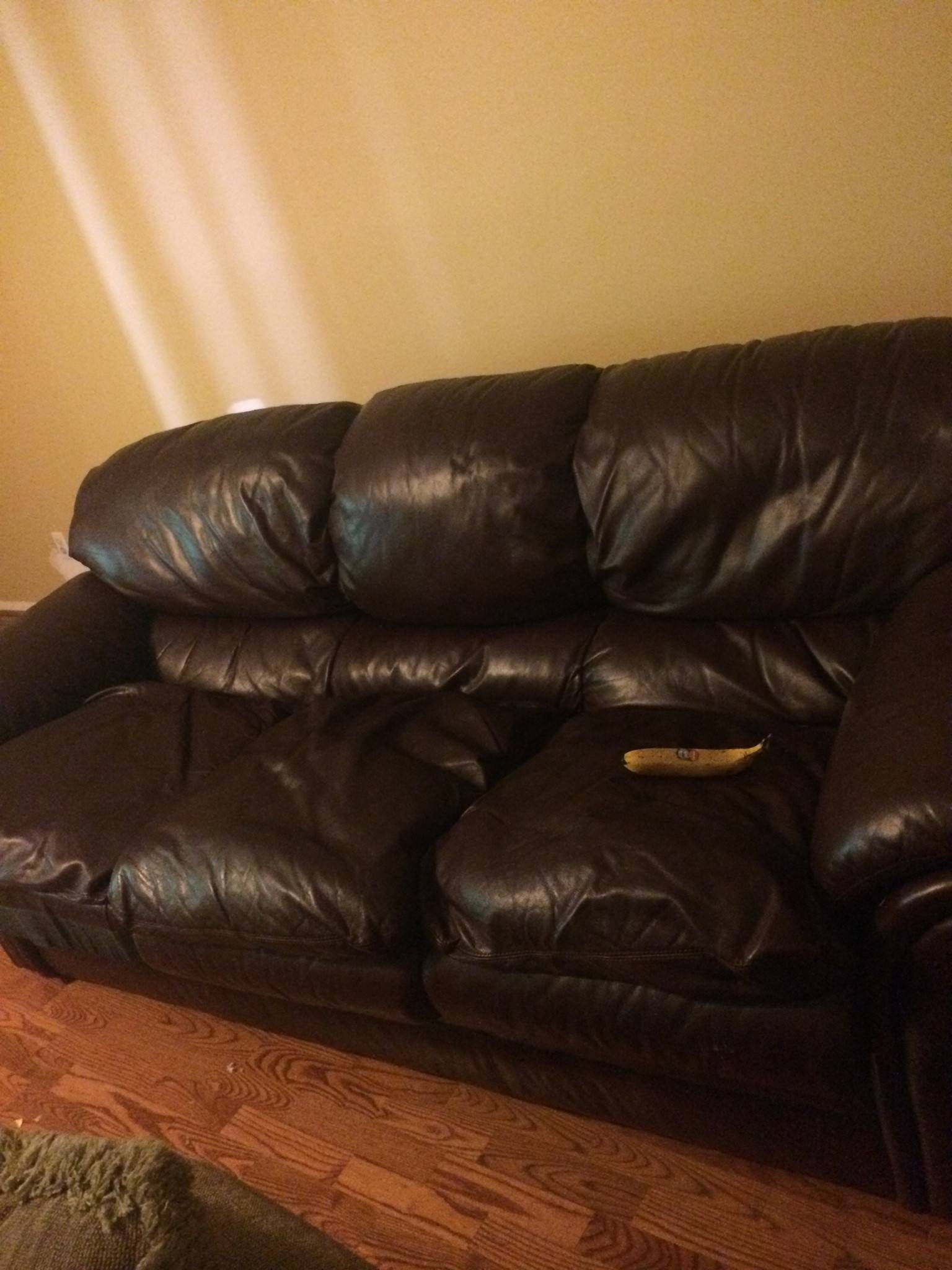 Featured Photo of 30 Ideas of Craigslist Leather Sofa