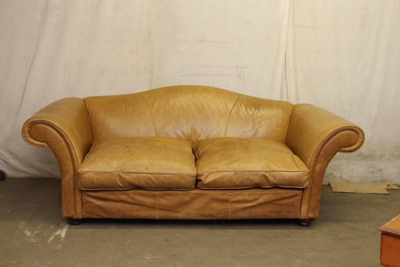 Popular Down Filled Leather Sofa And Hollywood Regency Leather Regarding Down Filled Sectional Sofas (View 25 of 30)