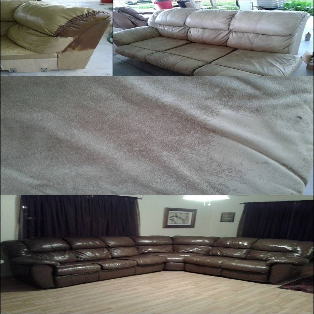 Sectional Sofas Craigslist – Cleanupflorida With Craigslist Sectional Sofa (View 23 of 30)