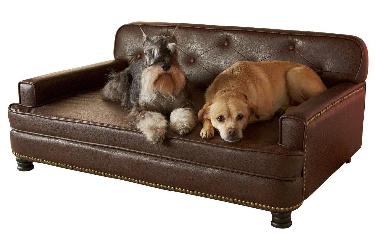 Sofa Dog Beds You'll Love | Wayfair In Sofas For Dogs (Photo 1 of 30)