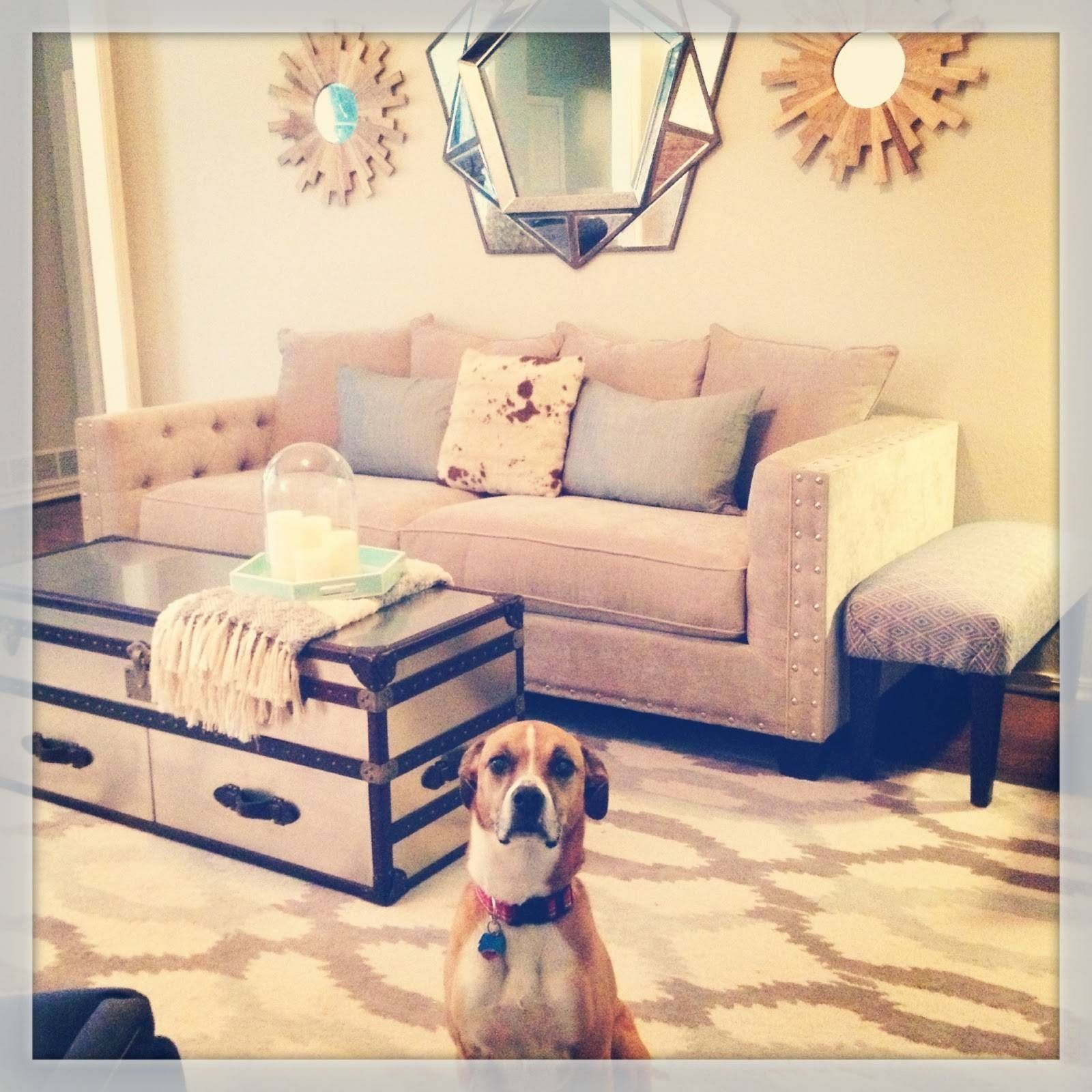 The Happy Homebodies: The Great Sofa Quest Intended For Cindy Crawford Home Sectional Sofa (View 11 of 30)