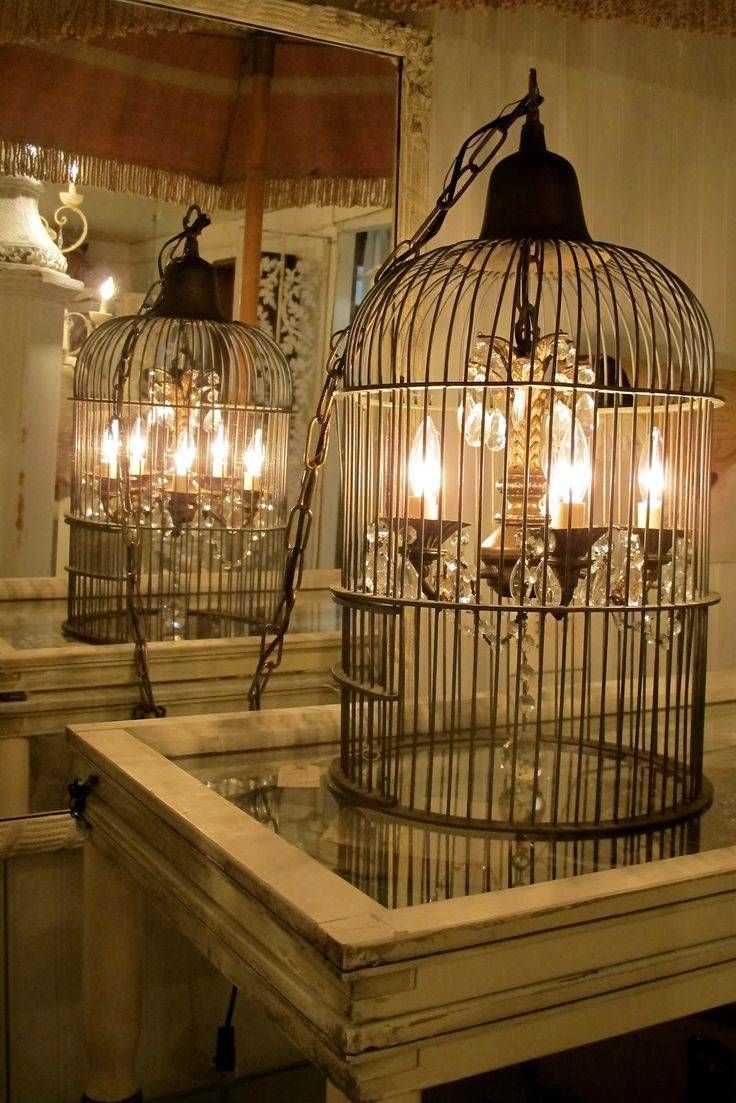Best 20+ Birdcage Chandelier Ideas On Pinterest | Birdcage Light In Birdcage Lighting Chandeliers (View 5 of 15)
