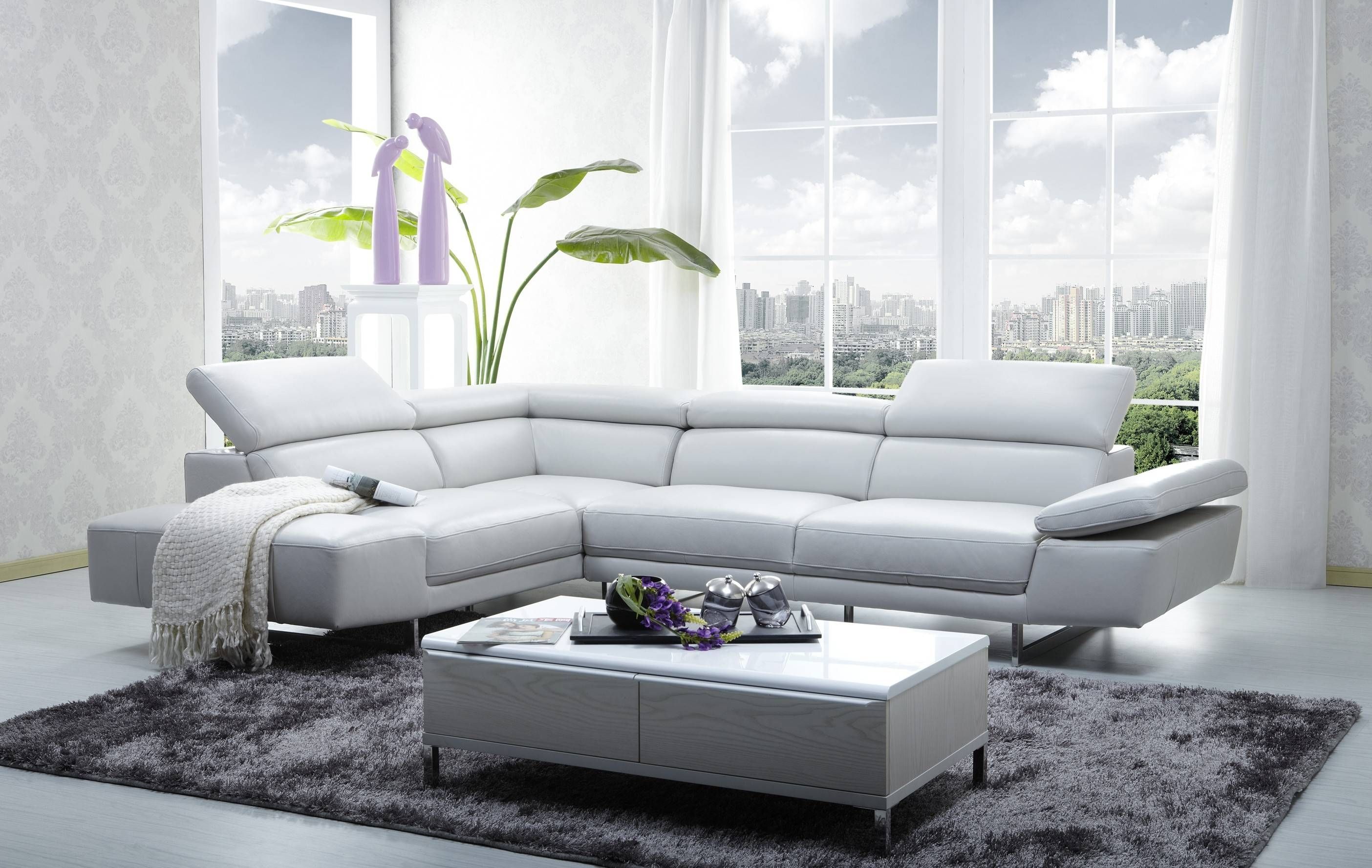Living Room : Charming White Leather L Shape Sectional Sofa In Narrow Sectional Sofas (View 9 of 15)