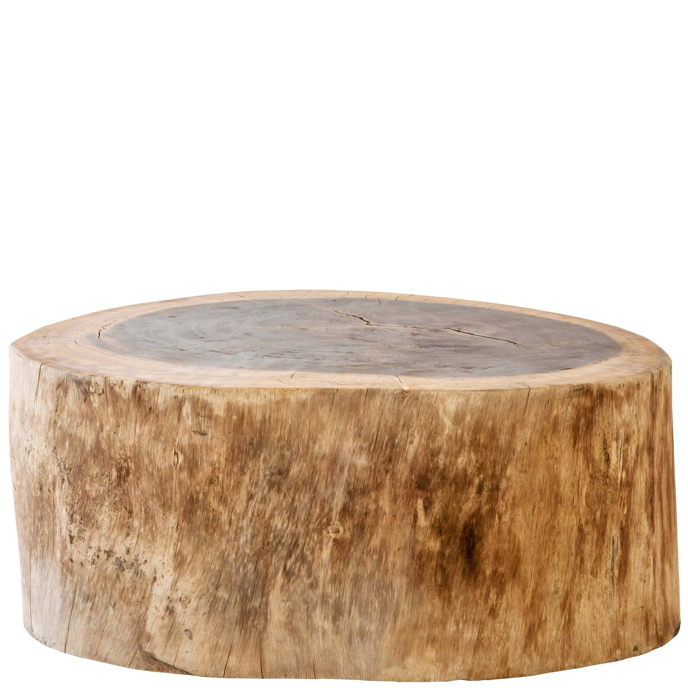 Munggur Tree Trunk Coffee Table – Large For Sale | Weylandts South Inside Tree Trunk Coffee Table (View 15 of 15)