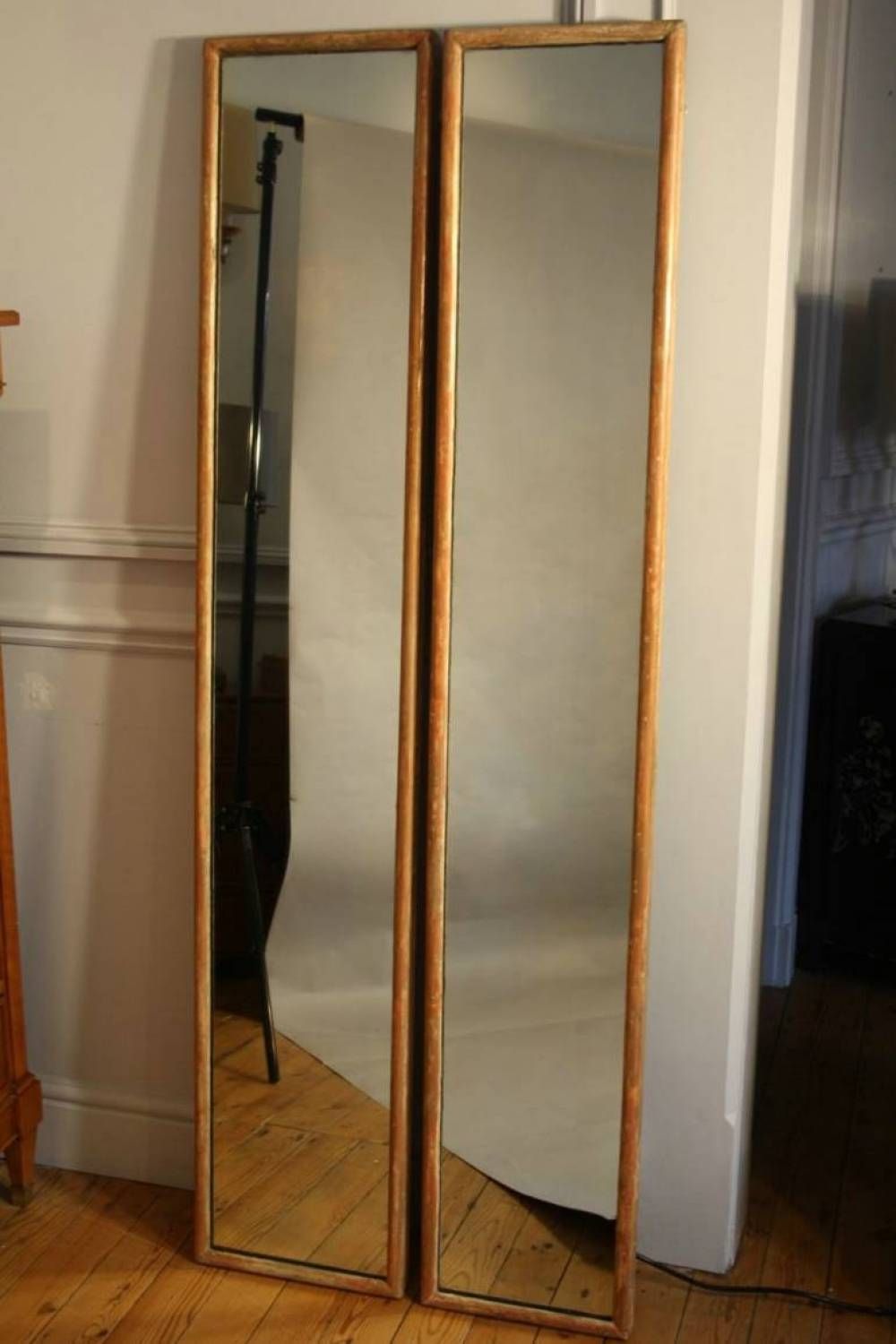 Pair Of Tall Narrow Mirrors In Mirrors Throughout Tall Narrow Mirrors (View 15 of 15)