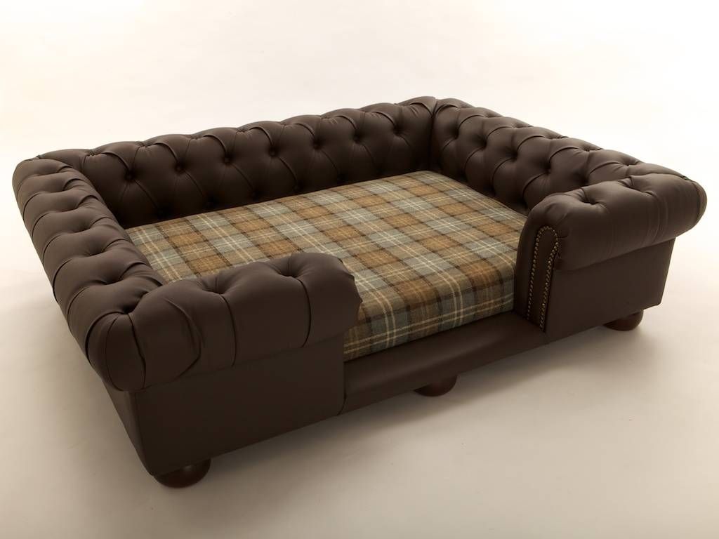 Shop – Balmoral Large Pet Sofas And Beds In Luxurious Leather And Regarding Giant Sofa Beds (View 2 of 15)