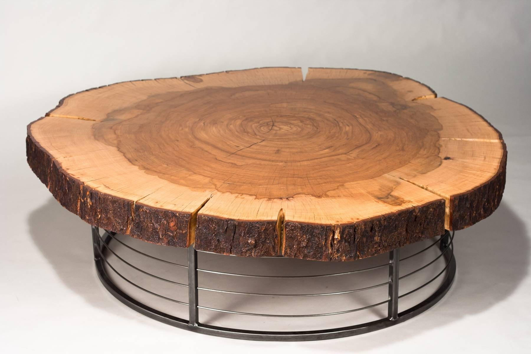 Tree Trunks Coffee Table : Guideline To Make A Coffee Table Of Pertaining To Tree Trunk Coffee Table (Photo 1 of 15)