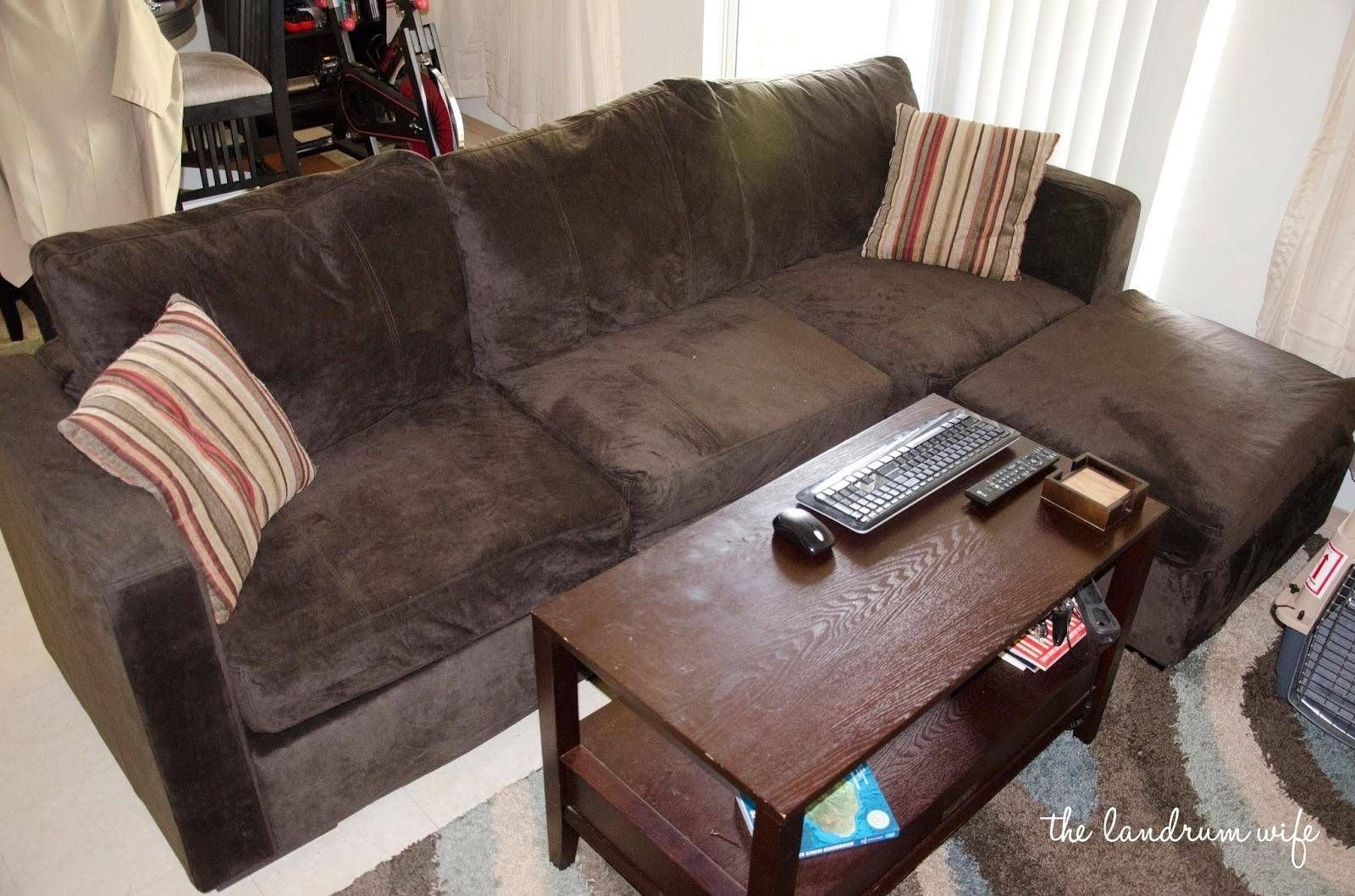 20 Collection Of Love Sac Sofas | Sofa Ideas Throughout Lovesac Sofas (View 10 of 15)