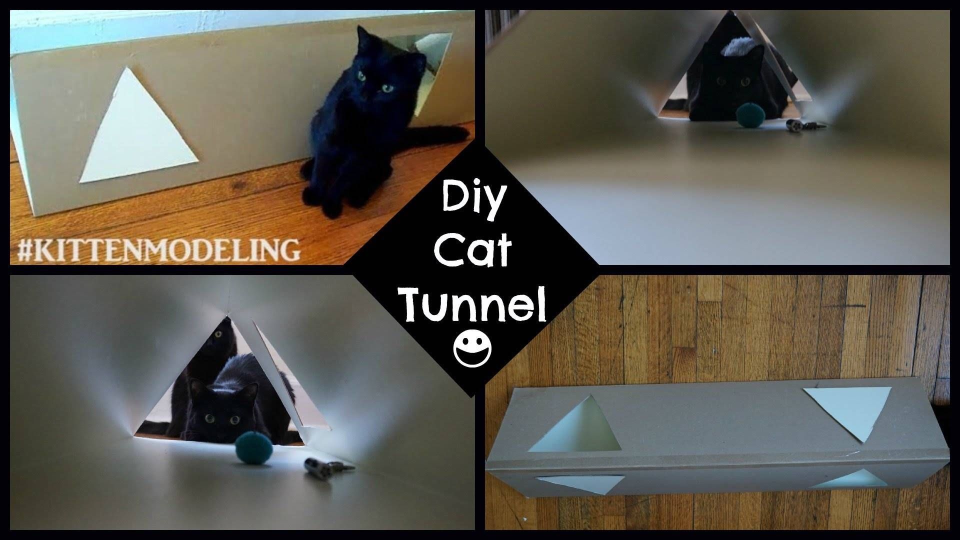 Diy Cat Tunnel – Youtube Pertaining To Cat Tunnel Couches (View 10 of 15)