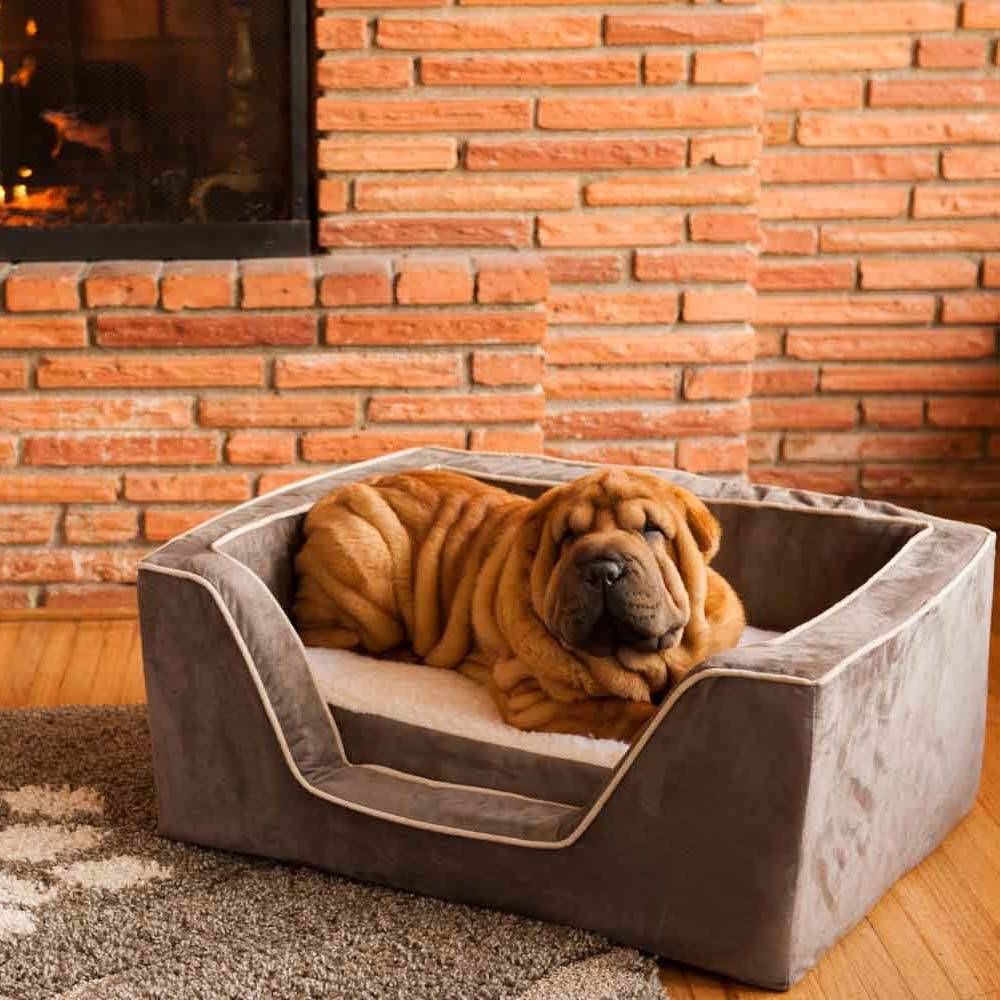 Luxury Square Dog Bed With Memory Foamsnoozer Pet Products Regarding Snoozer Luxury Dog Sofas (View 6 of 15)