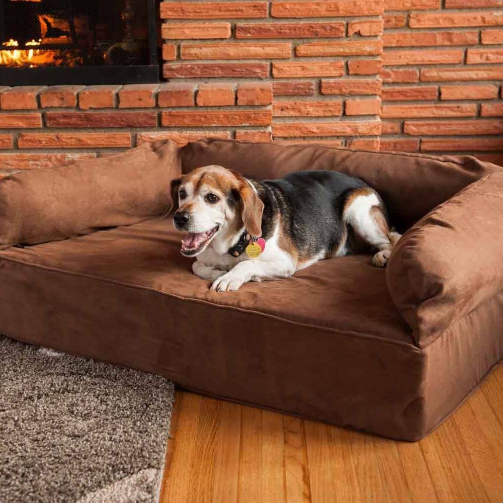 Snoozer Luxury Dog Sofa | Dog Couch | Microsuede Fabric In Snoozer Luxury Dog Sofas (View 4 of 15)