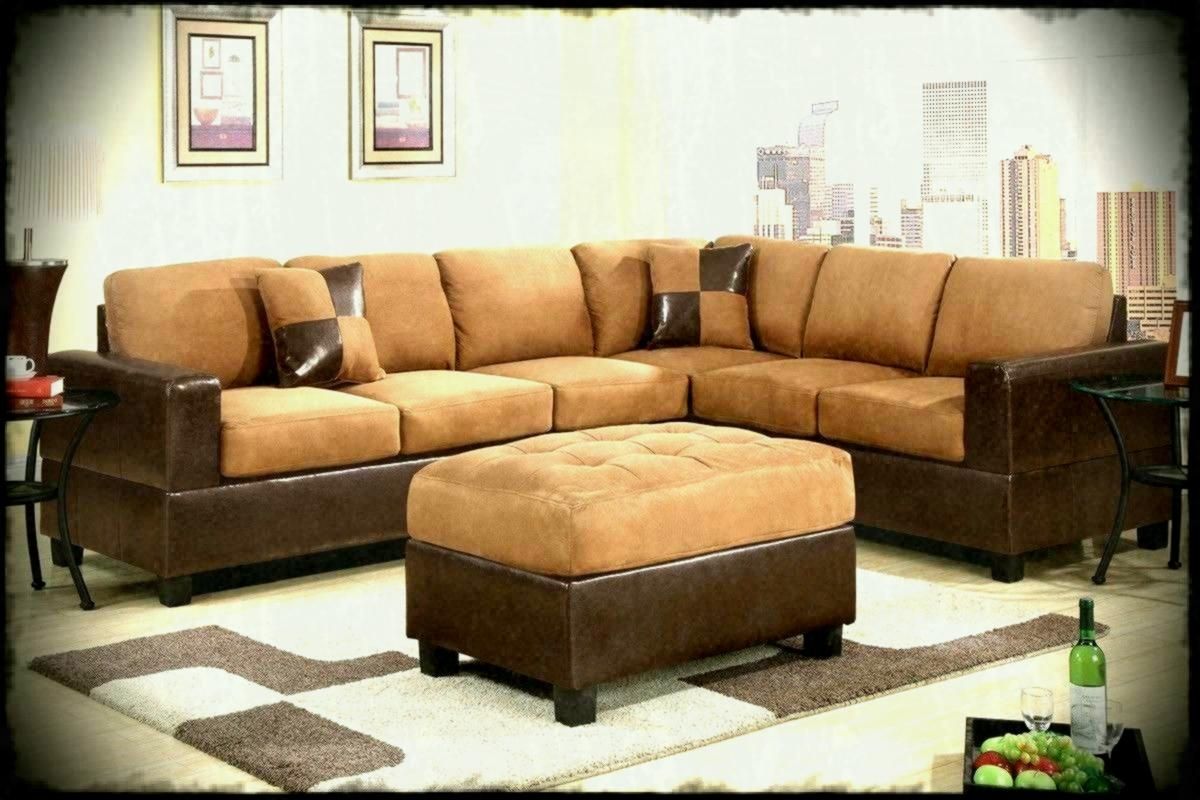 Furniture Couches Sleeper Sectional Sofa Big Lots Sofas And Roanoke Inside Roanoke Va Sectional Sofas (View 7 of 10)