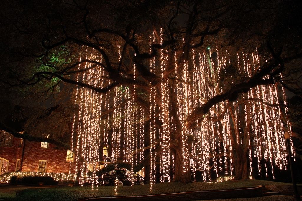Christmas Light Spanish Moss | Christmas Lights Hanging Like… | Flickr Inside Hanging Outdoor Christmas Lights In Trees (Photo 6 of 10)
