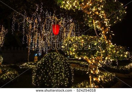Decorative Outdoor String Lights Hanging On Stock Photo (royalty Throughout Hanging Outdoor Christmas Lights In Trees (View 10 of 10)