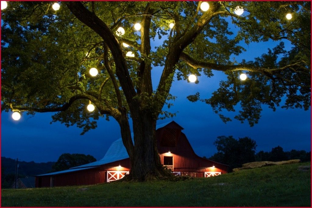 Outdoor Hanging Tree Lights » Best Of Nashville Tree Lighting In Outdoor Hanging Tree Lights (View 5 of 10)