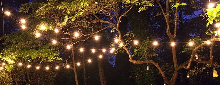 String Lights And Bulbs With Hanging Outdoor Lights Without Trees (View 6 of 10)