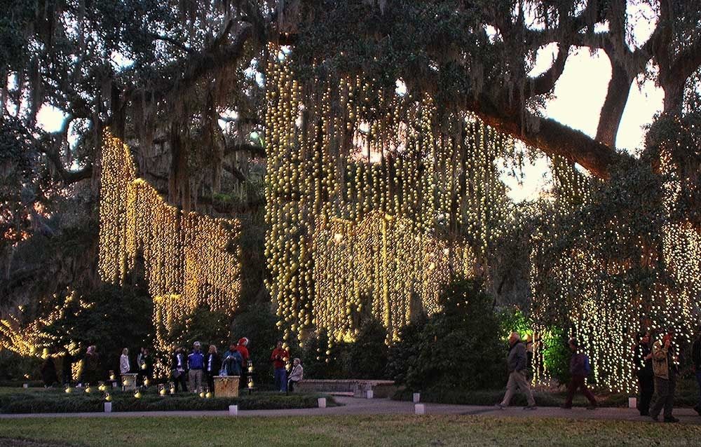 Featured Photo of 2024 Popular Hanging Lights in Outdoor Trees