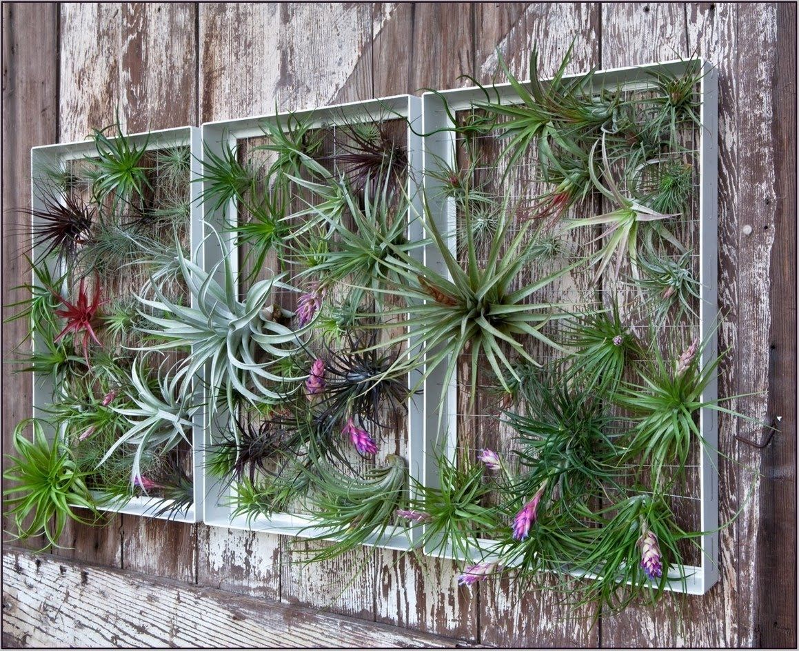 Beautify Your Patio With Garden Wall Art Ideas – Youtube Pertaining To Garden Wall Art (View 1 of 20)