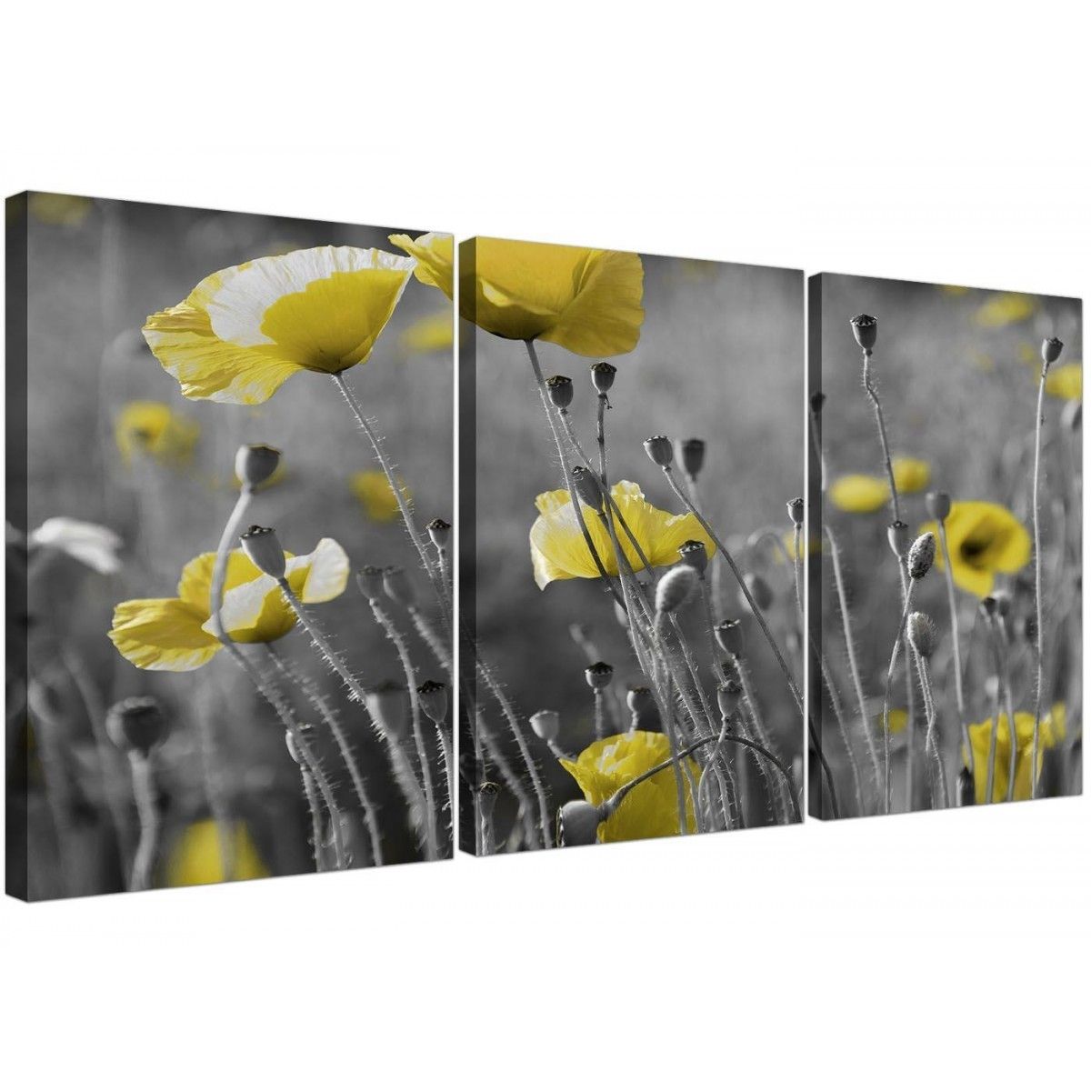 Black And White Canvas With Grey And Yellow Poppies Wall Art Prints In Yellow And Grey Wall Art (View 4 of 20)