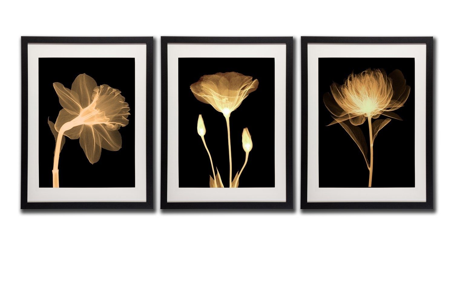 Black White And Gold Wall Art Canvas Prints Decor Framed Flowers In Black And Gold Wall Art (View 14 of 20)