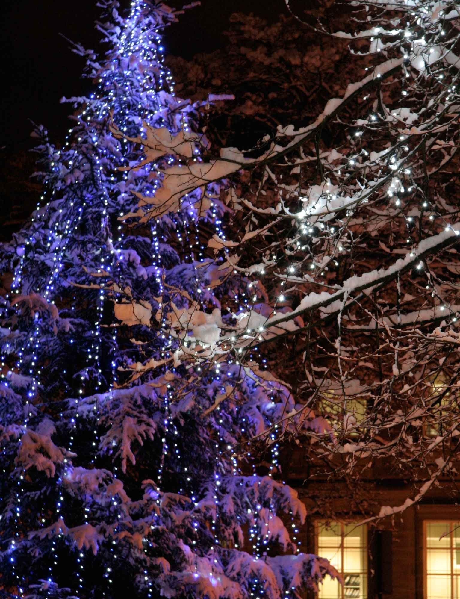 Christmas Tree Light Ideas | Christmas Light Ideas | Inspiration Inside Outdoor Xmas Lanterns (View 19 of 20)