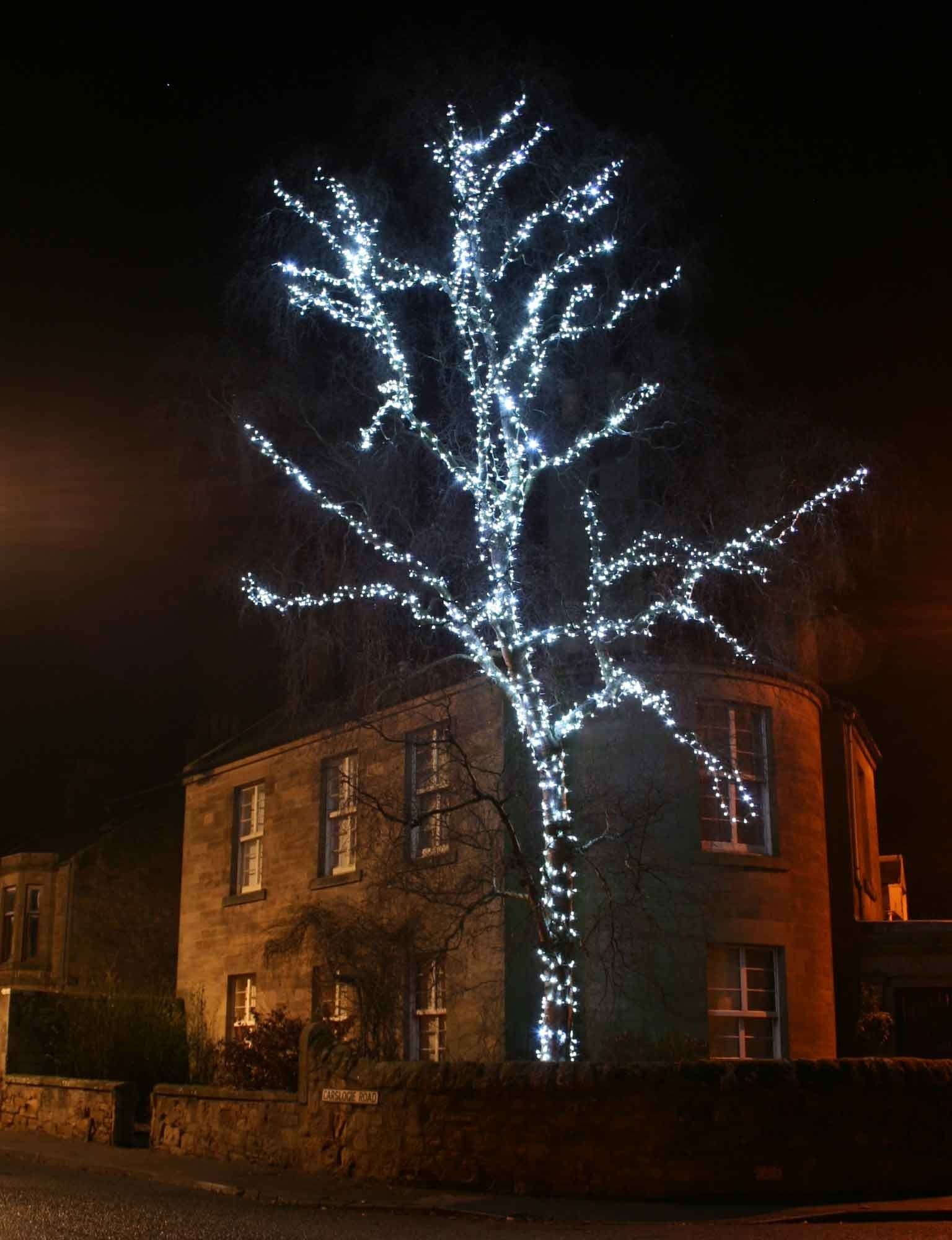 Christmas Tree Light Ideas | Christmas Light Ideas | Inspiration Pertaining To Outdoor Lanterns For Trees (Photo 10 of 20)