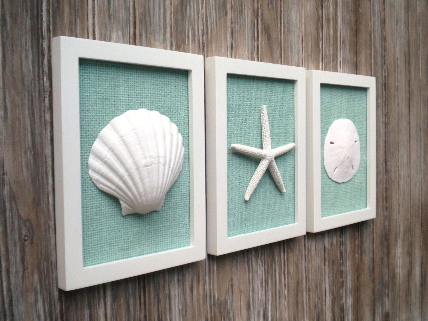 Cottage Chic Set Of Beach Wall Art Sea Shells Home Decor Regarding Beach Wall Art (Photo 1 of 20)