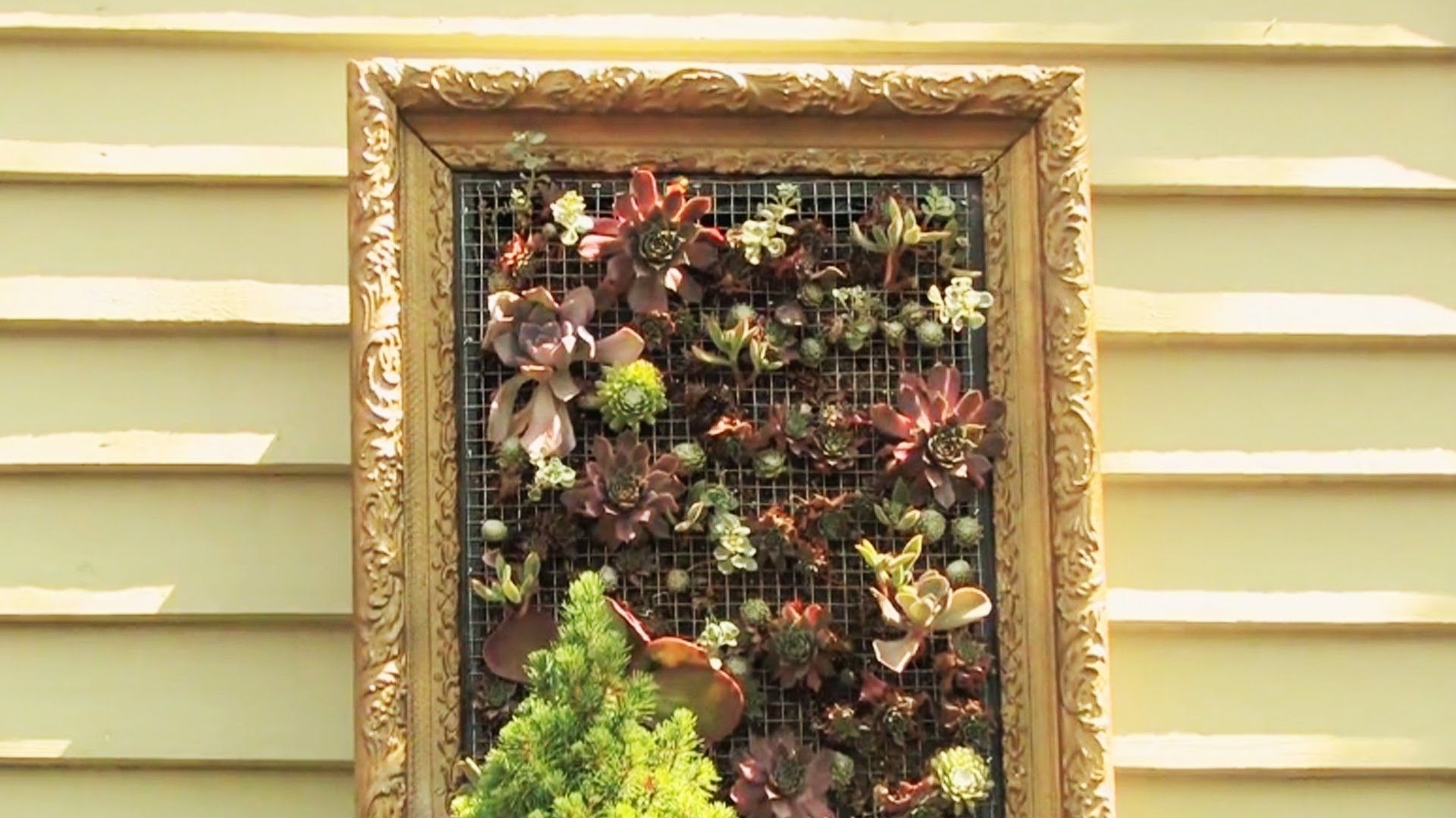 Creating Living Wall Art – Youtube With Living Wall Art (View 2 of 20)