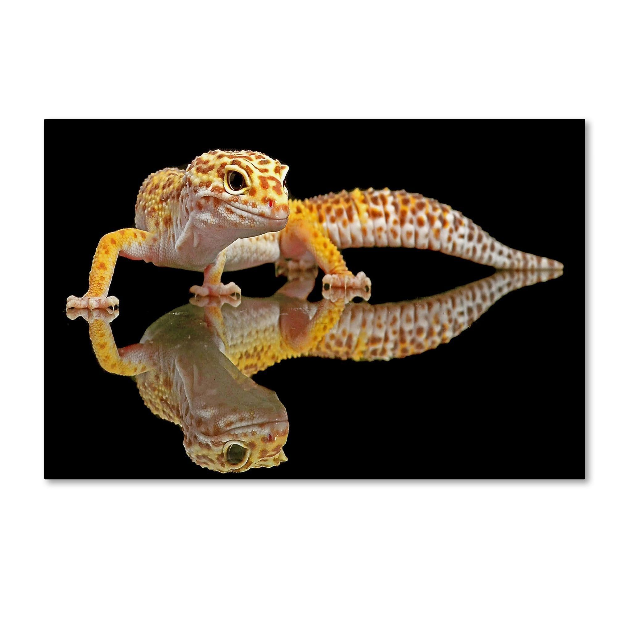 Dikky Oesin 'leopard Gecko' Canvas Art | Animals | Pinterest For Gecko Canvas Wall Art (View 11 of 20)
