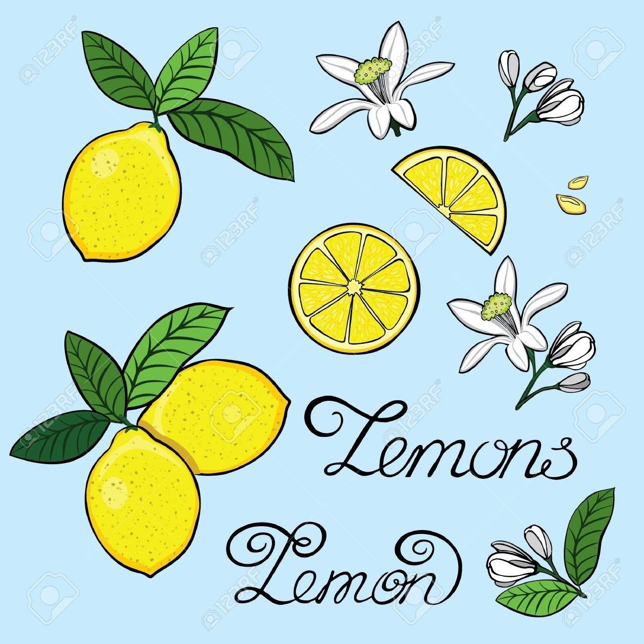 Elements For The Design Of A Lemon, Lemon Tree Flowers, Grain Intended For Lemon Wall Art (View 8 of 20)