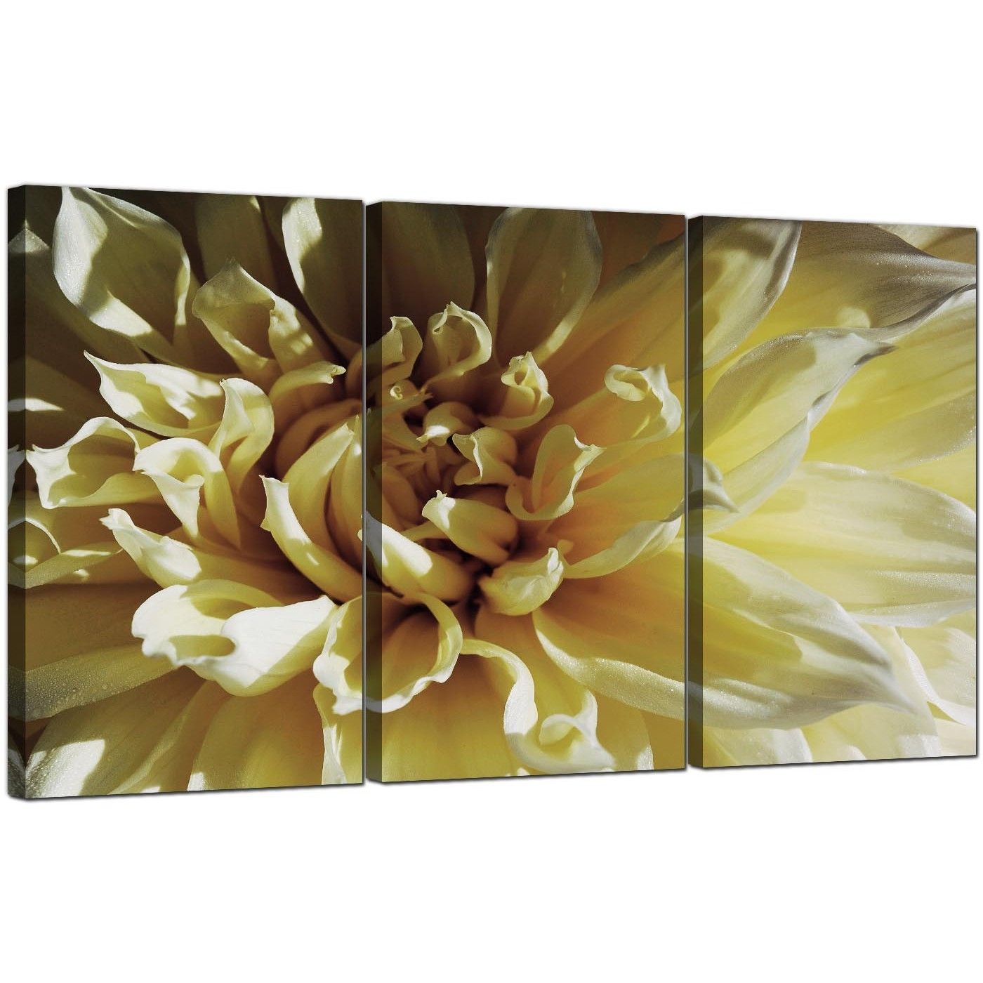 Flower Canvas Art Set Of 3 For Your Living Room Inside Flower Wall Art (View 15 of 20)