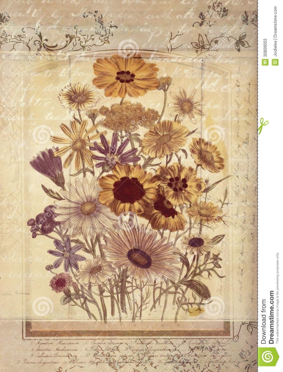 Flowers Botanical Vintage Style Wall Art With Textured Background For Vintage Wall Art (Photo 18 of 20)