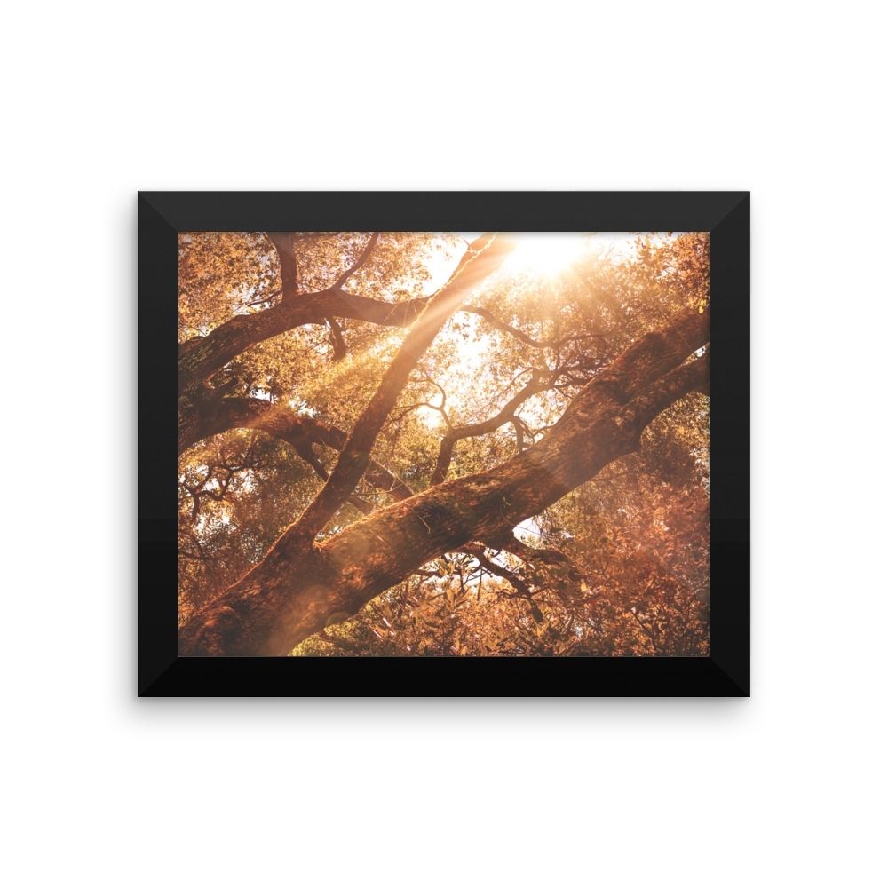 Framed Outdoor Photo Print / Nature Picture / Framed Wall Art With Framed Wall Art (View 14 of 20)