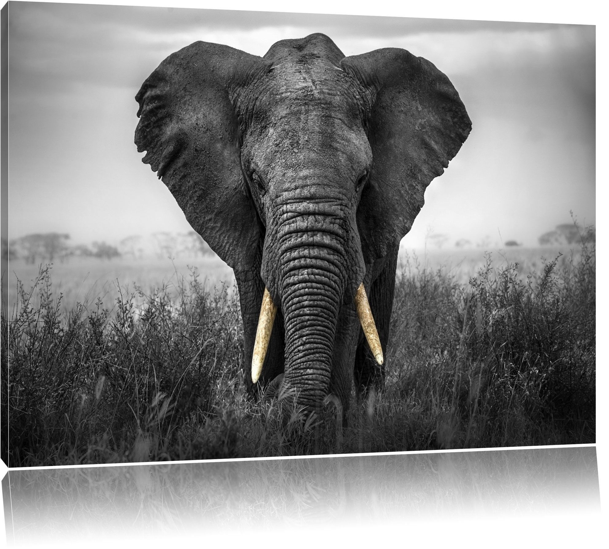 Graceful Elephant Wall Art On Canvas Ideal Elephant Wall Art – Home Within Elephant Wall Art (View 18 of 20)