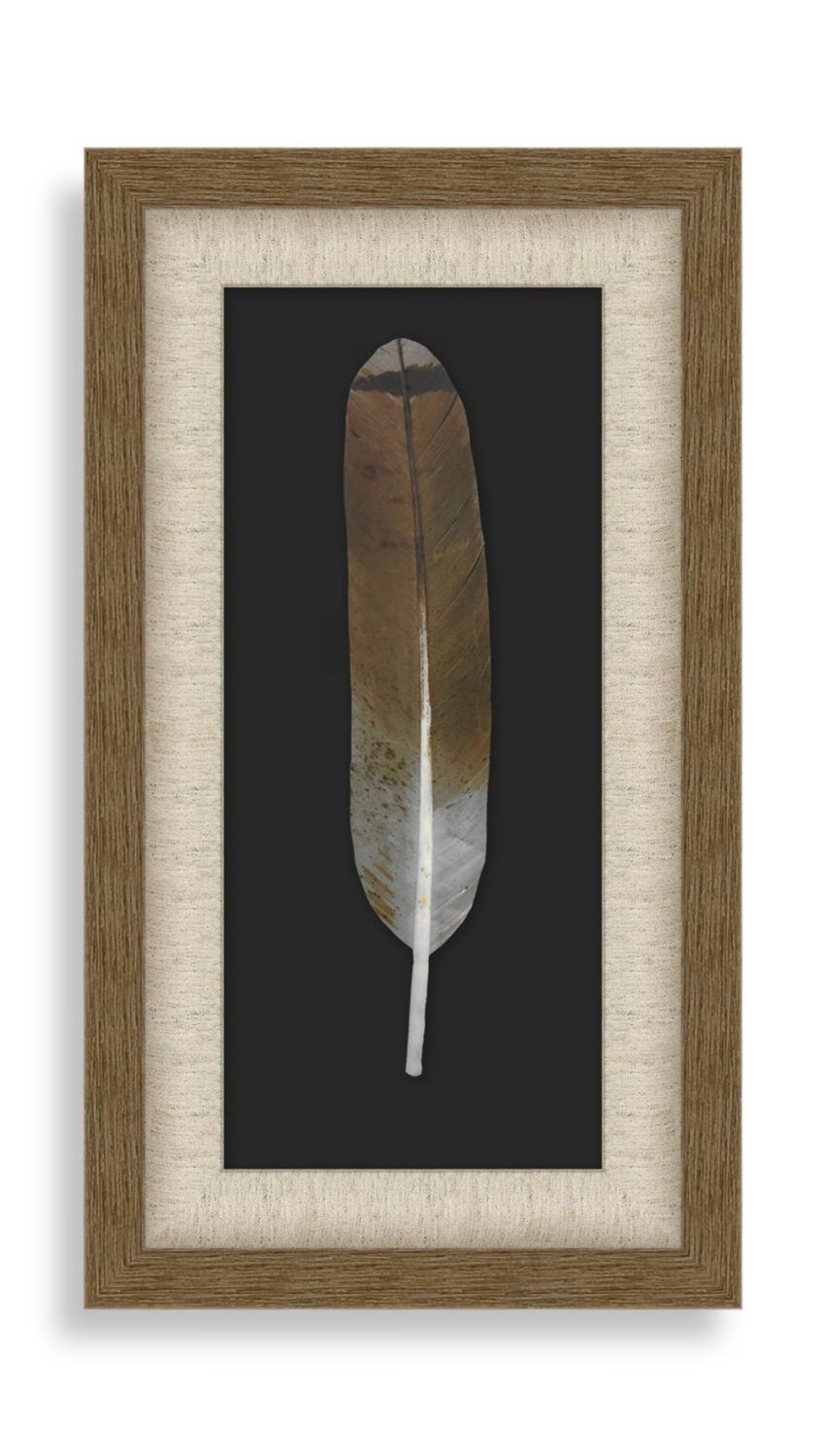 Harris Feather Wall Art | Gabberts For Feather Wall Art (View 19 of 20)