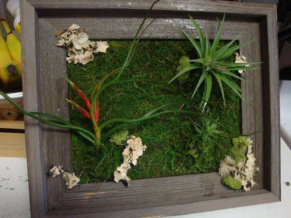 Living Wall Art: 3 Steps (with Pictures) Regarding Living Wall Art (View 1 of 20)