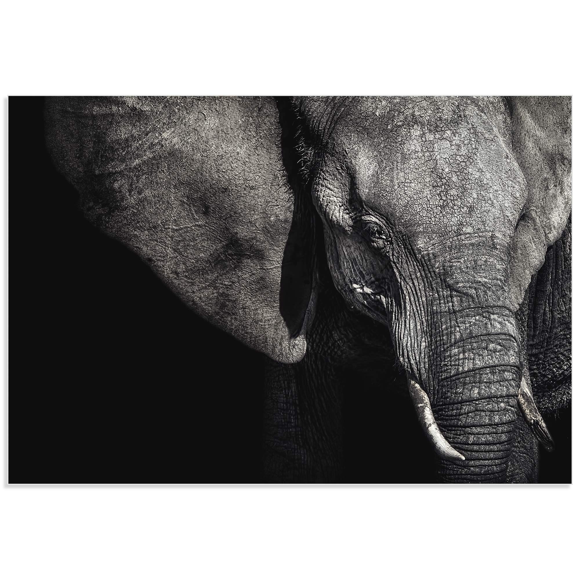 Metal Art Studio – The Matriarch Elephantpiet Flour – Elephant In Elephant Wall Art (View 15 of 20)