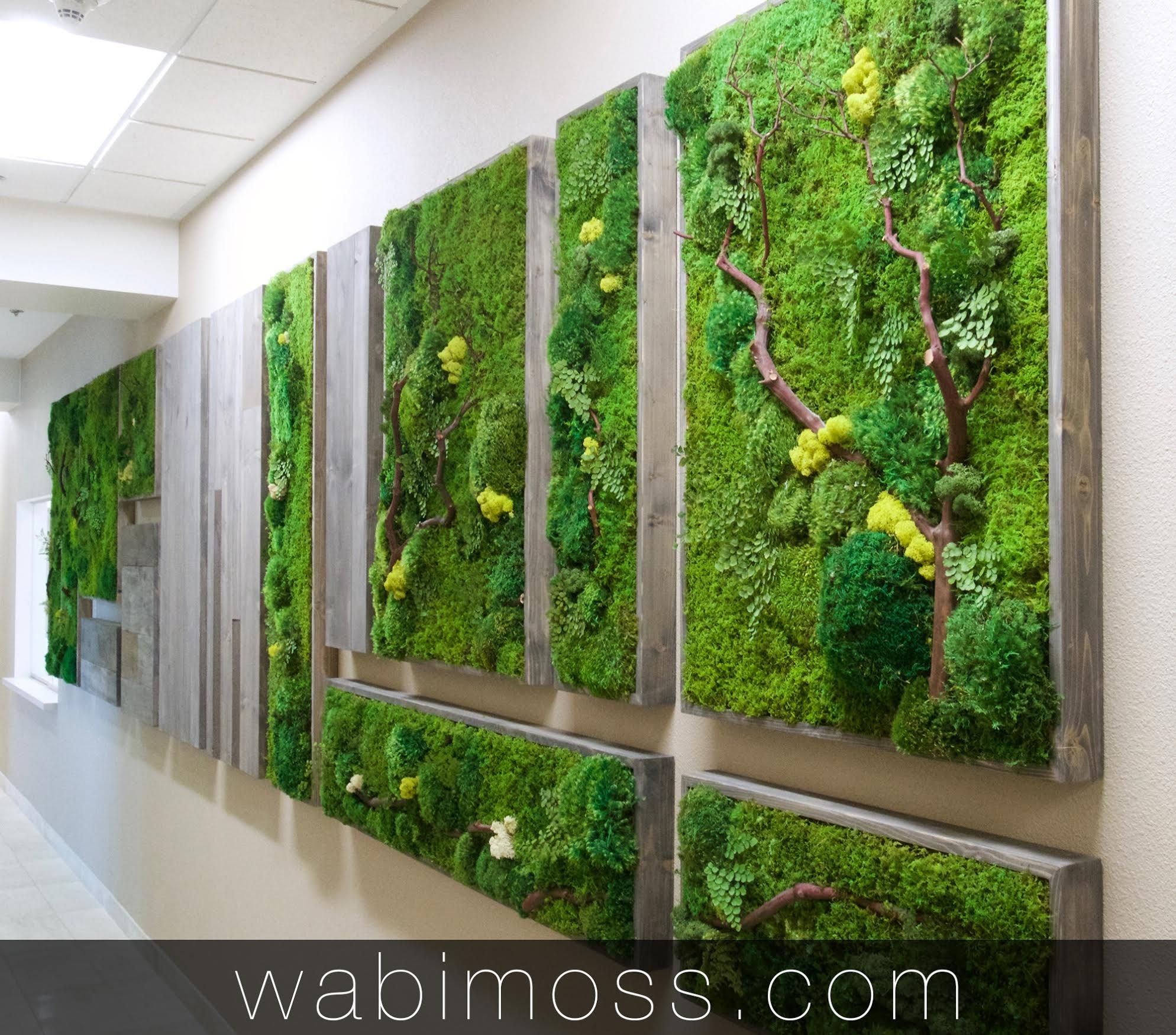 Moss Art Archives – Wabimoss Pertaining To Moss Wall Art (Photo 8 of 20)