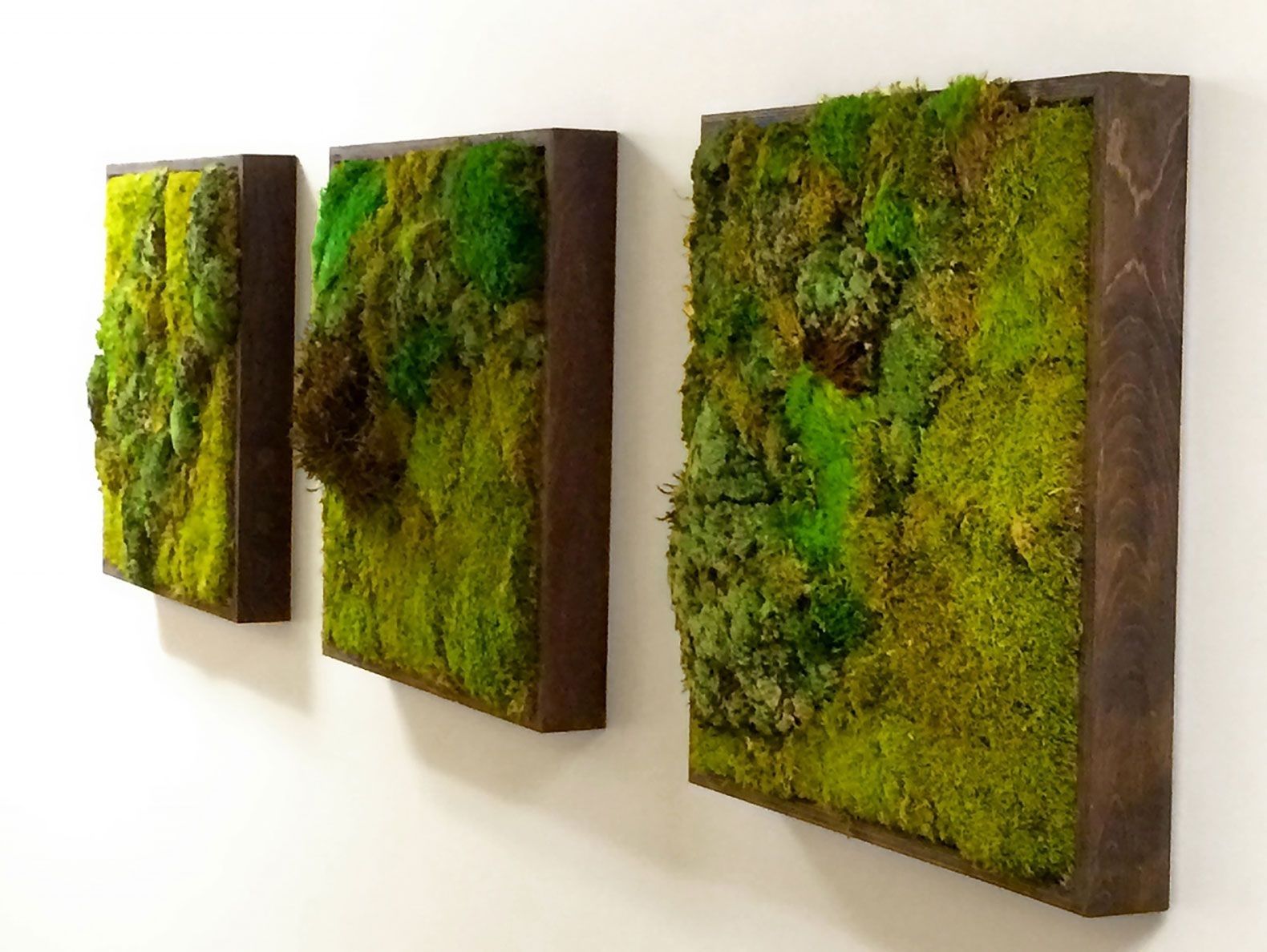 Moss Walls: The Newest Trend In Biophilic Interiors | Art 3 X For Living Wall Art (View 3 of 20)