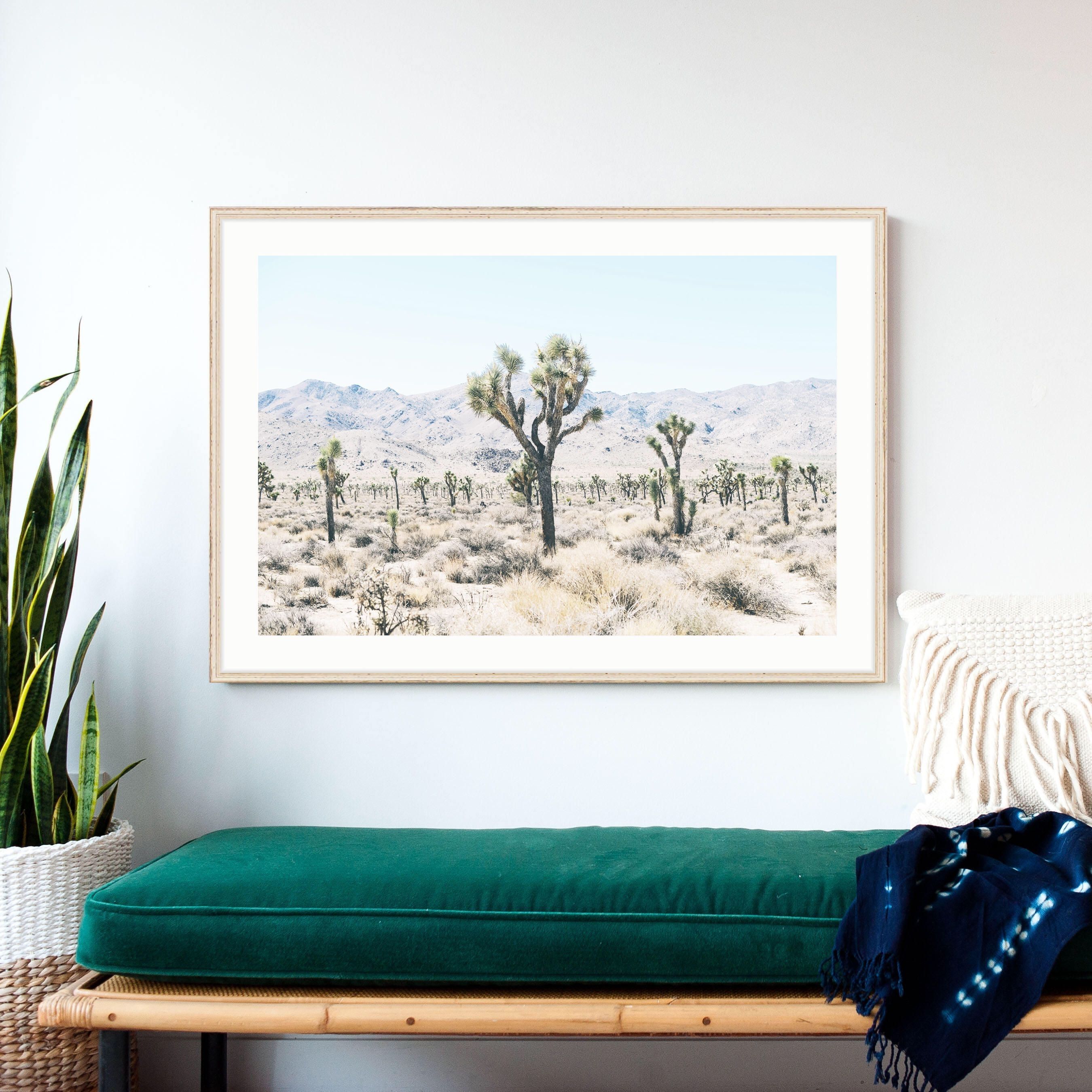 Photography Prints, Cactus Prints, Desert Photography, Nature Prints In Nature Wall Art (Photo 13 of 20)