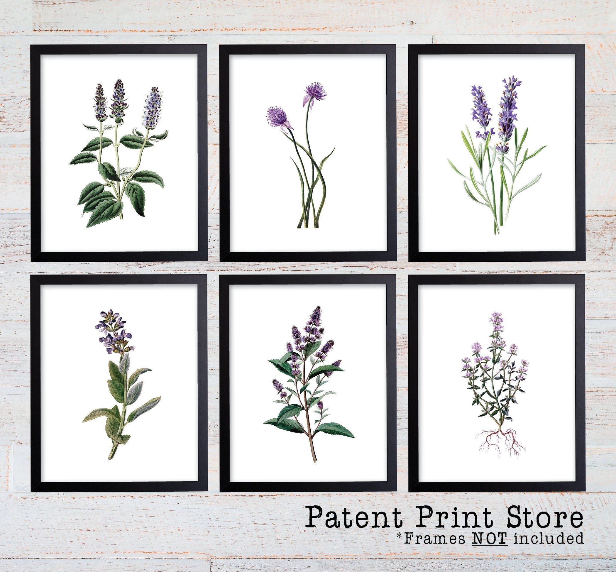 Purple Herb Botanical Art Prints. Herb Prints. Herb Wall Art Inside Herb Wall Art (Photo 9 of 20)