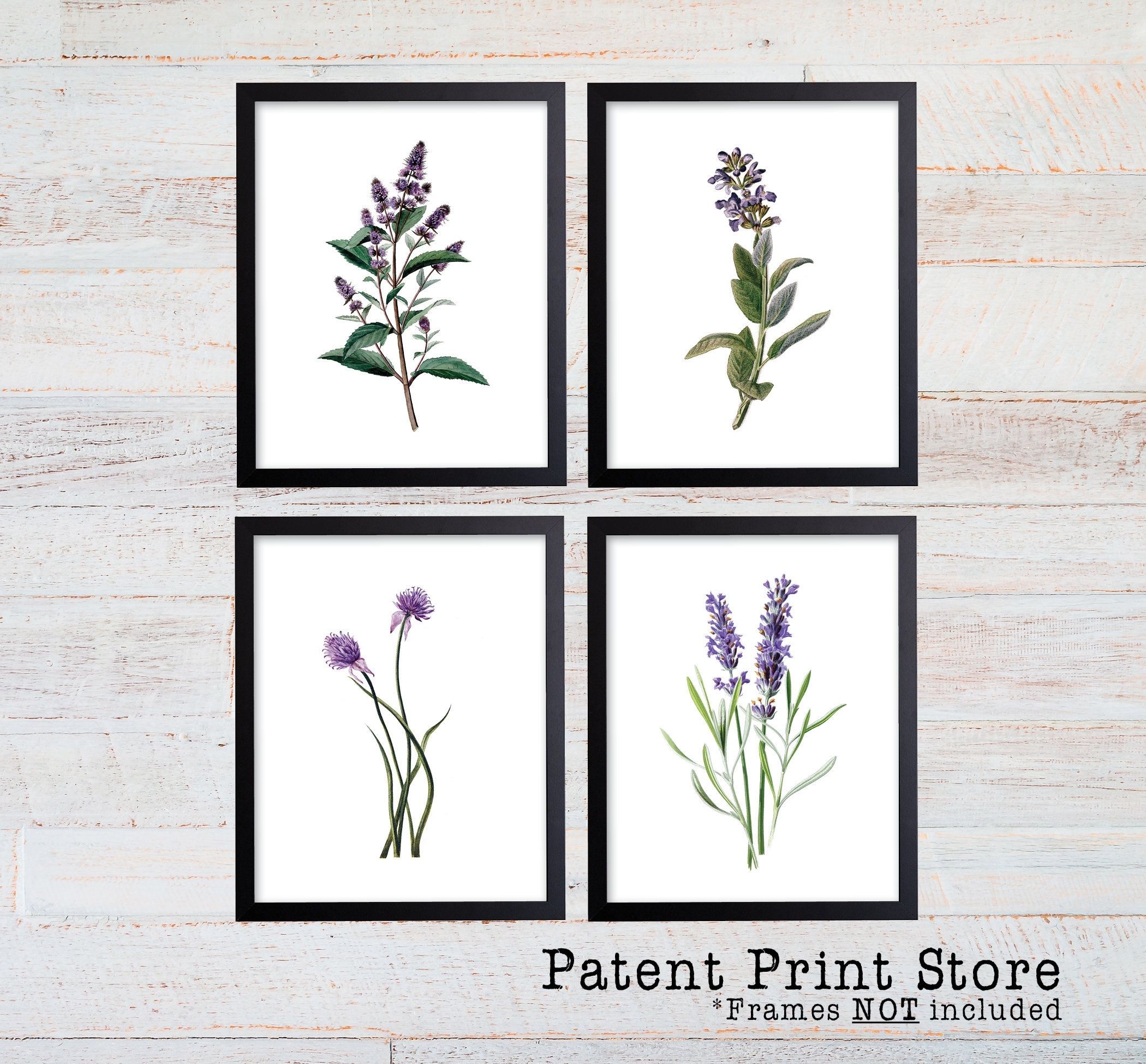 Purple Herb Botanical Art Prints. Herb Prints (View 20 of 20)