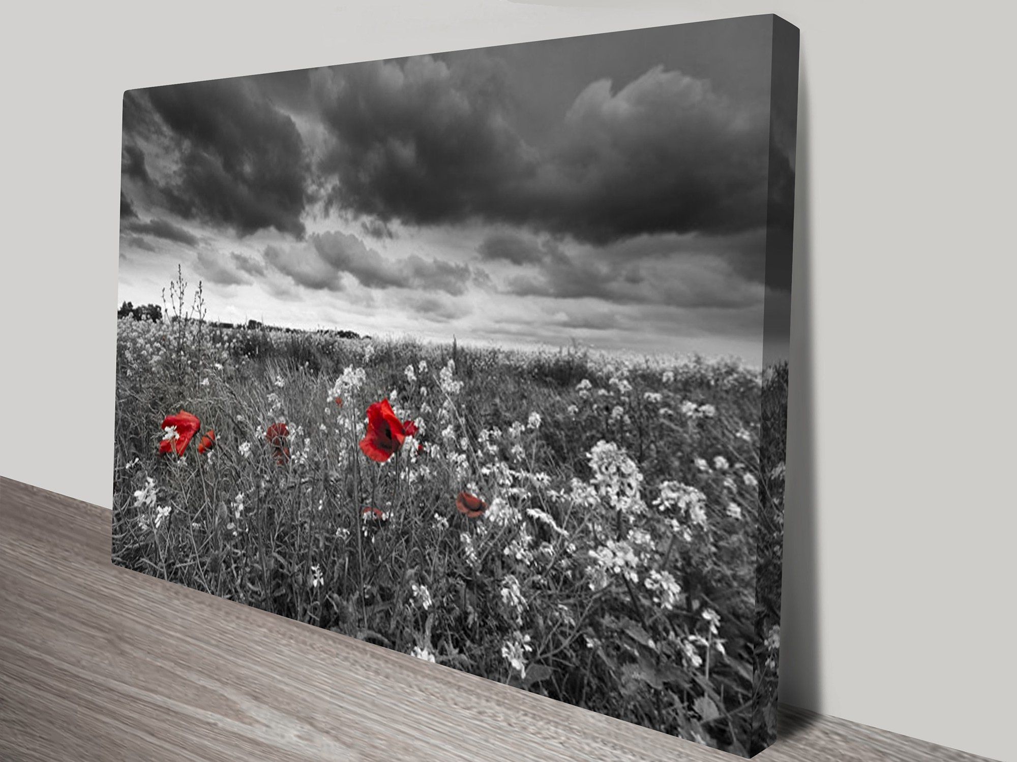 Red Poppy Field Black And White Canvas Art In Red And Black Canvas Wall Art (Photo 1 of 20)