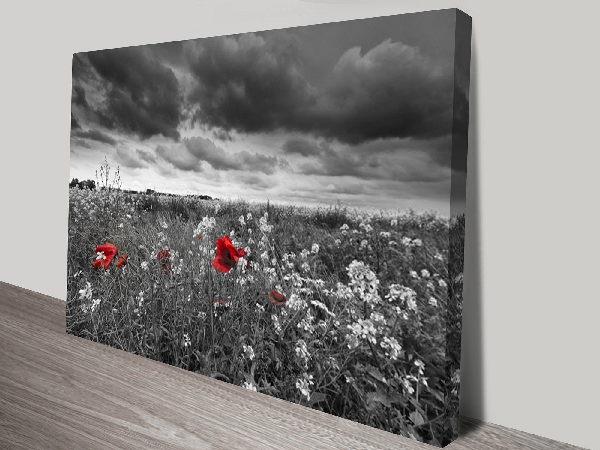 Red Poppy Field Black And White Canvas Art Within Black And White Canvas Wall Art (View 3 of 20)