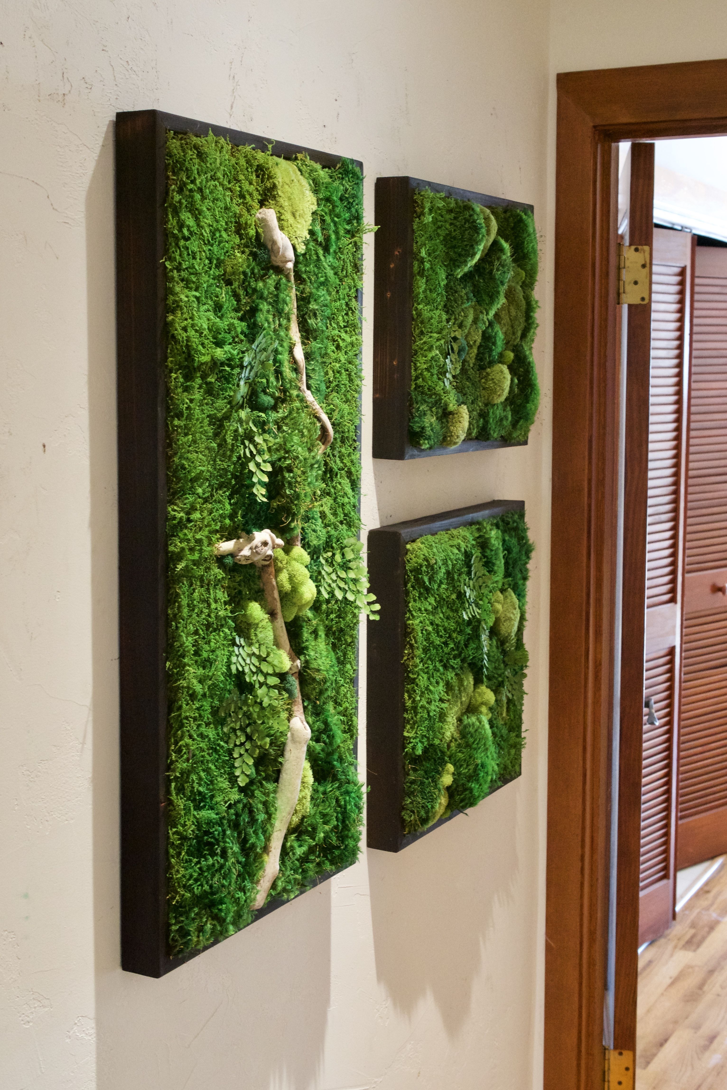 Smaller Size Moss Wall Art Collage Www.wabimoss | Wabimoss In Moss Wall Art (Photo 18 of 20)